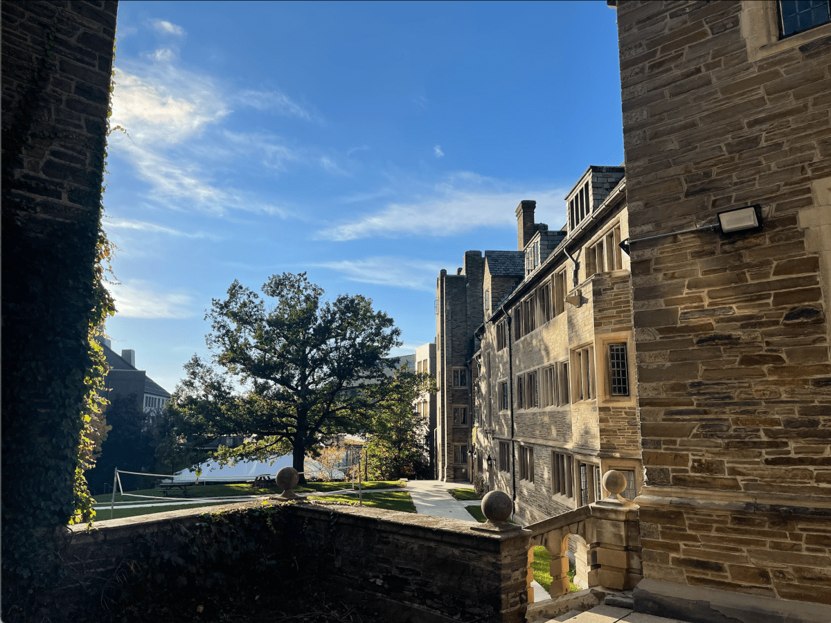 Annual Review: Where am I going? Junior Year, Spring 2022&nbsp;Edition